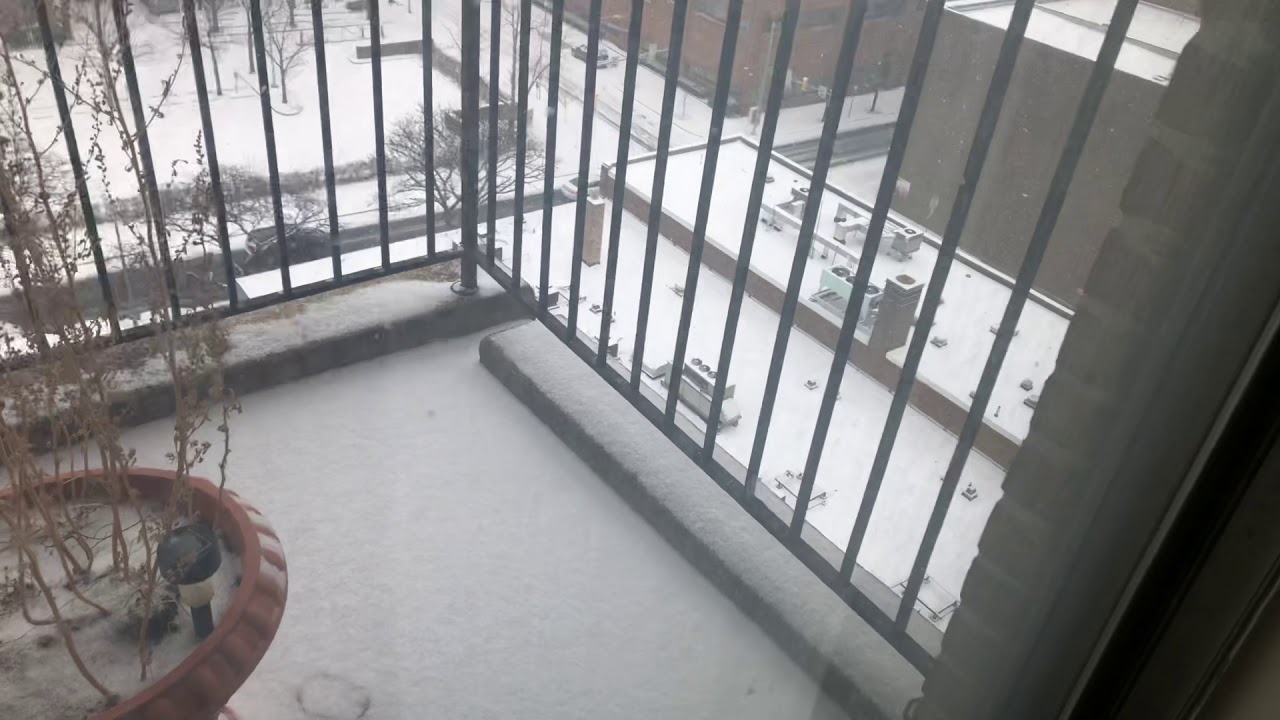 WINTER STORM JACOB !