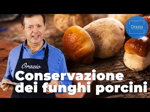 CONSERVAZIONE DEI FUNGHI PORCINI FRESCHI - come fare?