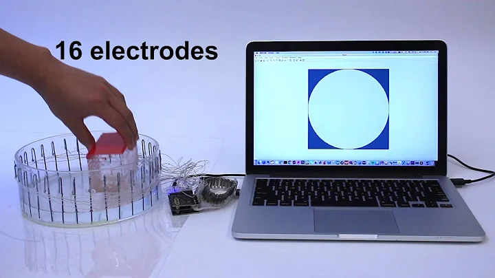 Advancing Hand Gesture Recognition with High Resolution Electrical Impedance Tomography