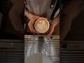 Simple Classic Swan Magic Anyone Can Make
