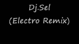 DJ.SEL(Electro Remix)