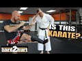 Do NOT turn your hip when kicking? | The Karate Nerd and Icy Mike