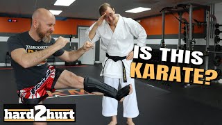 Do NOT turn your hip when kicking? | The Karate Nerd and Icy Mike screenshot 3