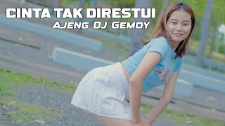 DJ CINTA TAK DIRESTUI | Ajeng Dj Gemoy