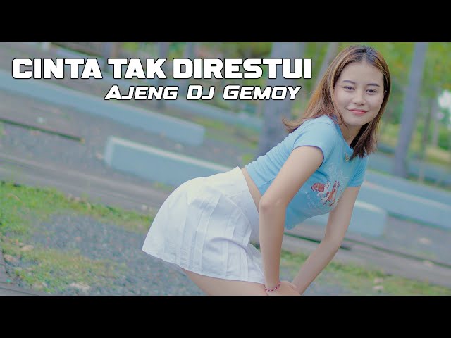 DJ CINTA TAK DIRESTUI | Ajeng Dj Gemoy class=