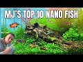 Top 10 nano fish for your aquarium