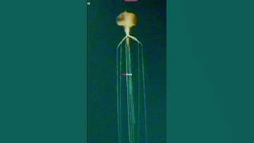 Terrifying Giant Squid Caught on Oil Rig Camera