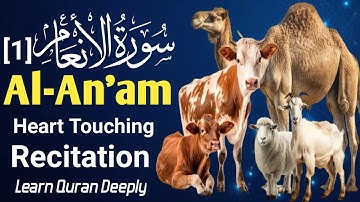 Surah Al-An’am 1–60 (سورة الانعام) | Heart-Touching & Peaceful Tilawat by Sheikh Ahmad Al Shalabi 