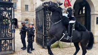Kings Guard Orders For Help From Police As Horse Goes Hysterical