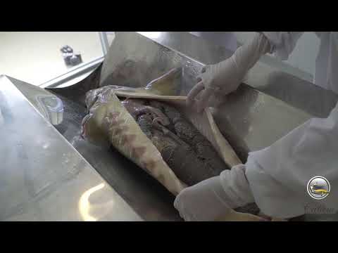 Video: Cách Chọn Trứng Cá Muối đen