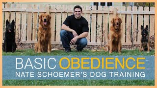 Basic Obedience Dog Training Course  FULL COURSE FREE on YouTube!