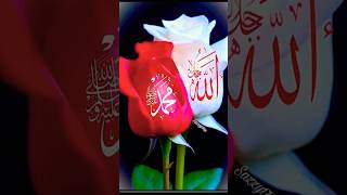 #facts New Islamic video islamicstatus naat duwa Allah ​⁠ shorts @agcreationAG
