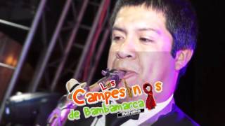 Video thumbnail of "SERRANO DE BAMBAMARCA - LOS CAMPESINOS DE BAMBAMARCA (VICTOR LARCO) ALBERT PRODUCCIONES"