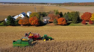 Corn Continued