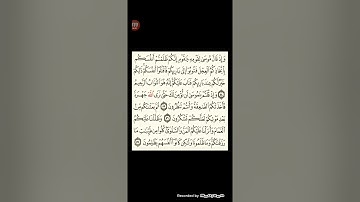 سورة البقرة من الآيه ٥٤ إلى الآيه ٥٧