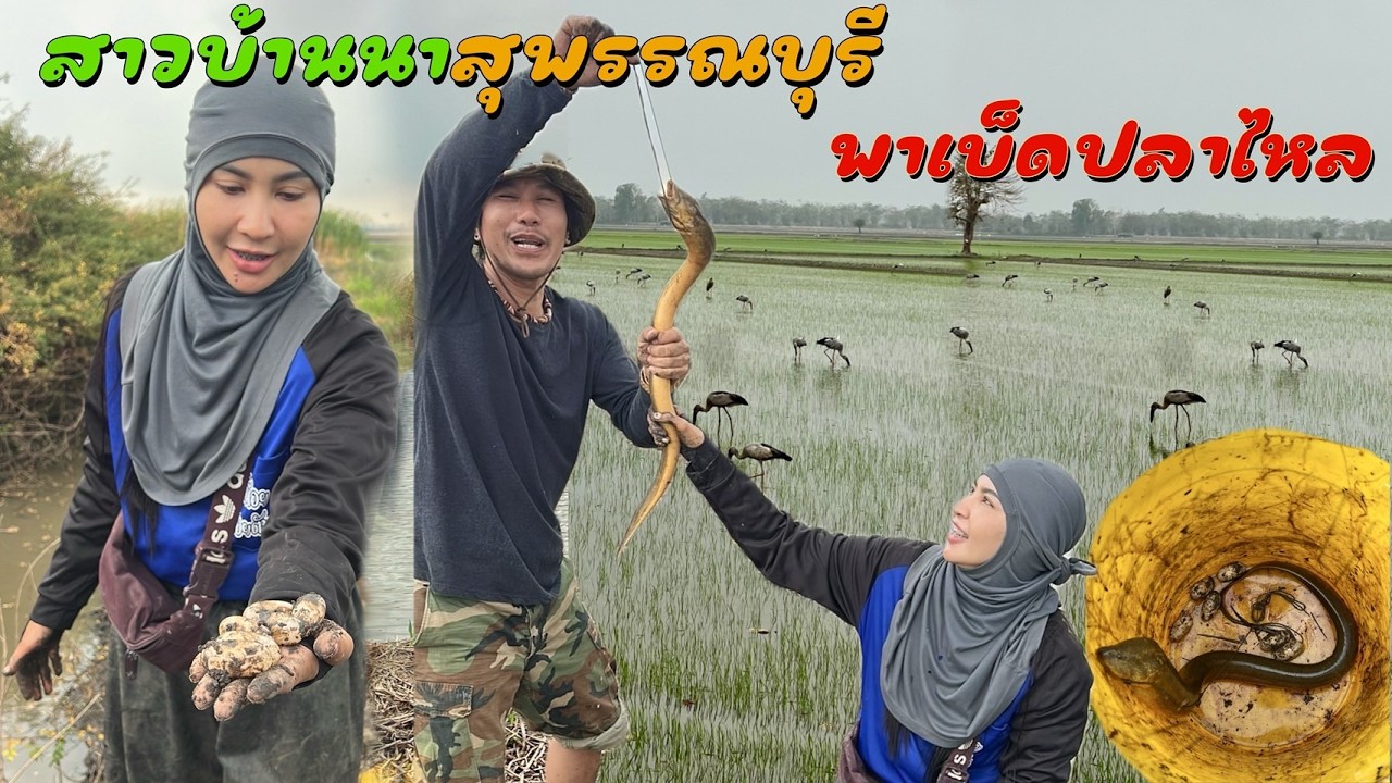 เจอกันในรอบหลายปีสาวบ้านนาสุพรรณบุรี พาเบ็ดปลาไหล ไซต์โล