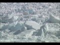 【クラブツーリズム】冬の北海道名物 『流氷・流氷鳴きの様子』