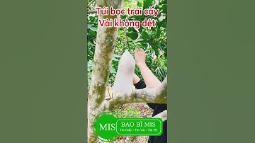 Túi bọc trái cây bằng vải không dệt