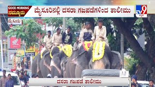 Dasara Buzz Begins In Mysuru: ಅರಮನೆ ನಗರದಲ್ಲಿ ಗಜಪಡೆಯ ತಾಲೀಮು ಆರಂಭ | TV9A