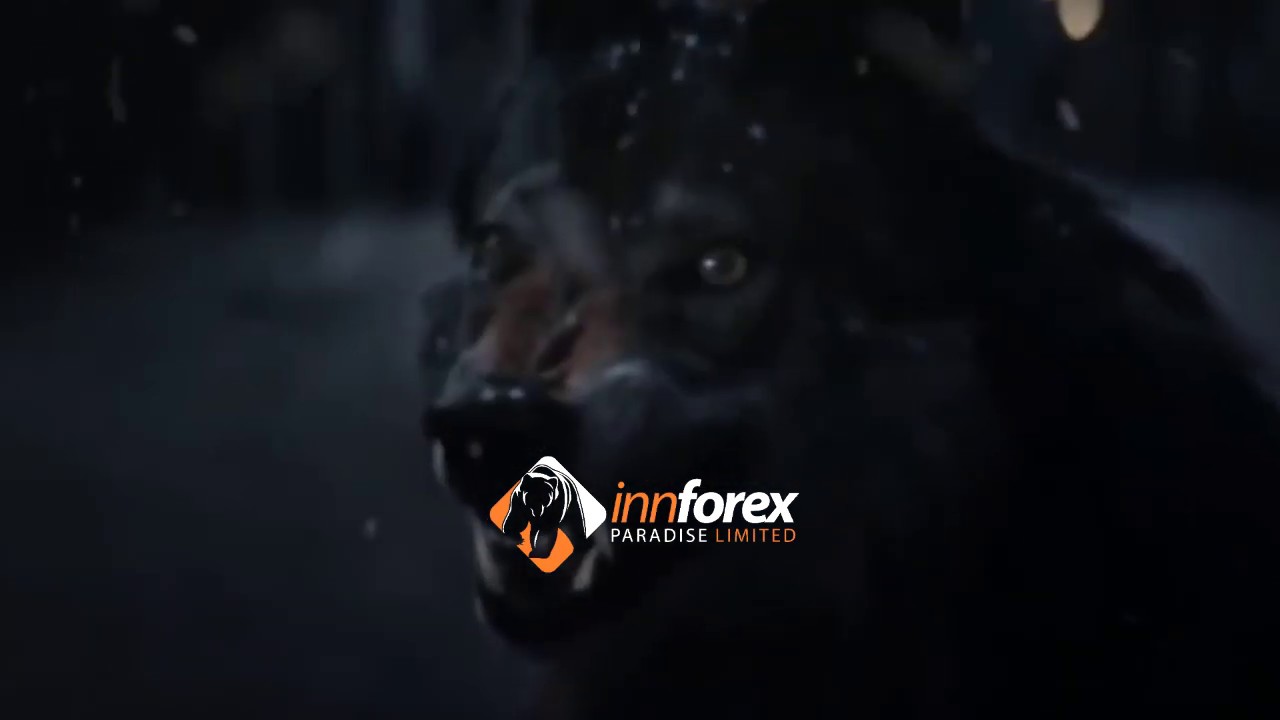 INNFOREX - INVESTIMENTOS  A PARTIR DE U$ 25;00