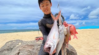 Spearfishing For EXTREMELY RARE Species! | Lehi Catch And Cook