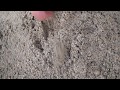 Como usar los suelos arenosos para el cultivo de hortalizas