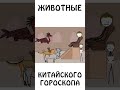 А вы знали почему именно такой порядок животных в китайском гороскопе? #шортс #авызналиэто #мифы image