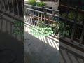Kahirapan Kalang Kaya Kitang Lagpasan Laban Lang Kahirapan Kalang Kaya Kitang Lagpasan Laban Lang