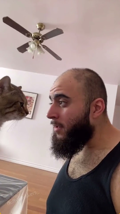 When you have a cat with unstable emotions#cat #catsoftiktok #catlover #funny #funnyvideos