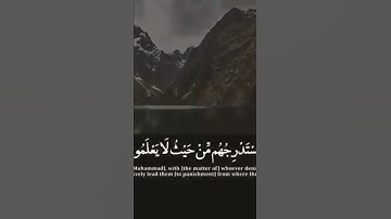 آيات بينات من الذكر الحكيم 💮