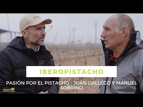 Vídeo: Fertilització d'arbres d'alvocat: quins són els requisits de fertilitzant d'alvocat