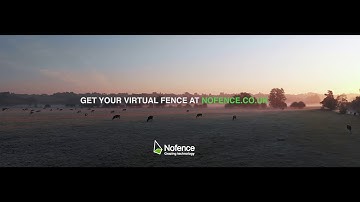 What is Nofence? - The world