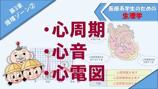 生理学　循環ゾーン②　「心周期」「心音」「心電図」