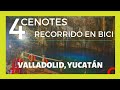 4 CENOTES Valladolid, Yucatán | Recorrido en bicicleta 🚲