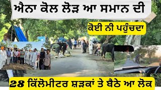 ਇਸ ਪਾਸੇ ਲੋੜ ਆ ਬਹੁਤ,, ਏਨਾ ਲੋਕਾਂ ਤੇ ਧਿਆਨ ਹੈਨੀ,,, ਪਸ਼ੂਆਂ ਲਈ ਦਾਣਾ, ਚੋਕਰ, ਸਾਇਲੇਜ ਲੈਕੇ ਪਹੁੰਚੋ