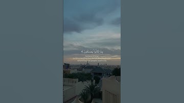 عبدالرحمن مسعد | سورة النحل