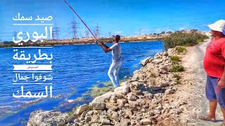 صيد سمك البوري بطريقة السندوتش ملاحات برج العرب بحيرة مريوط