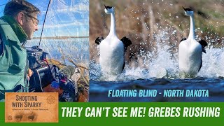 Invisible! Floating Blind/Hide - Rushing Grebes North Dakota; Photographer Superpower!