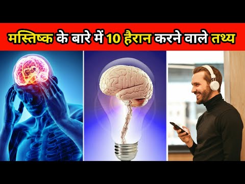 मानव मस्तिष्क के बारे में 10 मजेदार तथ्य। 10 Amazing Facts About Human Brain। #shorts #facts