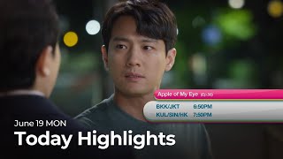 (Today Highlights) June 19 MON : Apple of My Eye and more | KBS WORLD TV