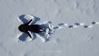 Tabriz, Iran. winter 2022. Video by Ehsan Daneshbod