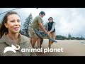 Reabilitação de uma grande tartaruga | A Família Irwin | Animal Planet Brasil