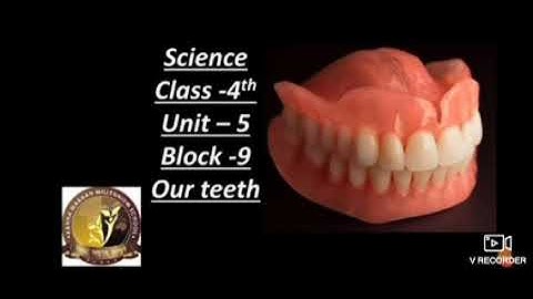 class 4 ,block 9 , xseed education