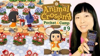 Animal Crossing Pocket Camp #9 Jardinosafari de Charly, Laurie, neige & fin événement Nouvel an