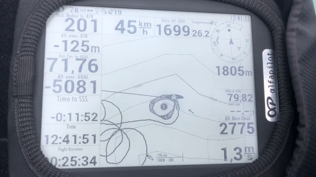 Alfapilot в действии