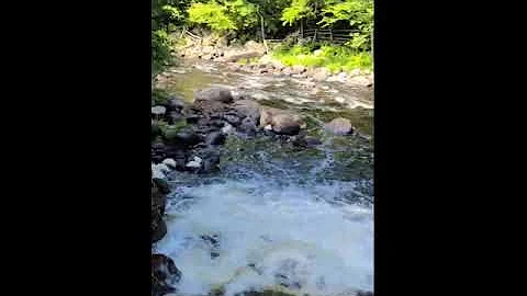 Natural Stone Bridge and Cave Upstate NY