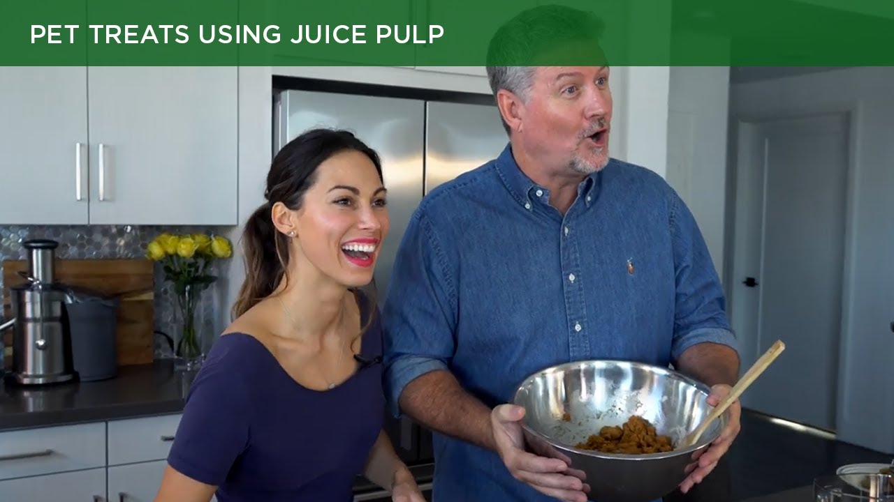 Pet Treats using Juice Pulp YouTube