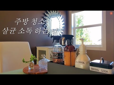 주부일상vlog/ 주방청소/ 주방살림 살균소독/ 식기세척기 청소/ 나무조리도구 세척법/ 쓰레기통 악취제거법/ 천연세제 사용법/ 베이킹소다/ 식초/ 알콜사용법