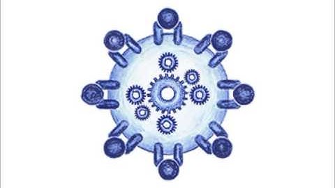 Who are Cyber-Duck? - Award Winning Digital Agency