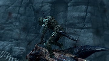 Skyrim execution scene test